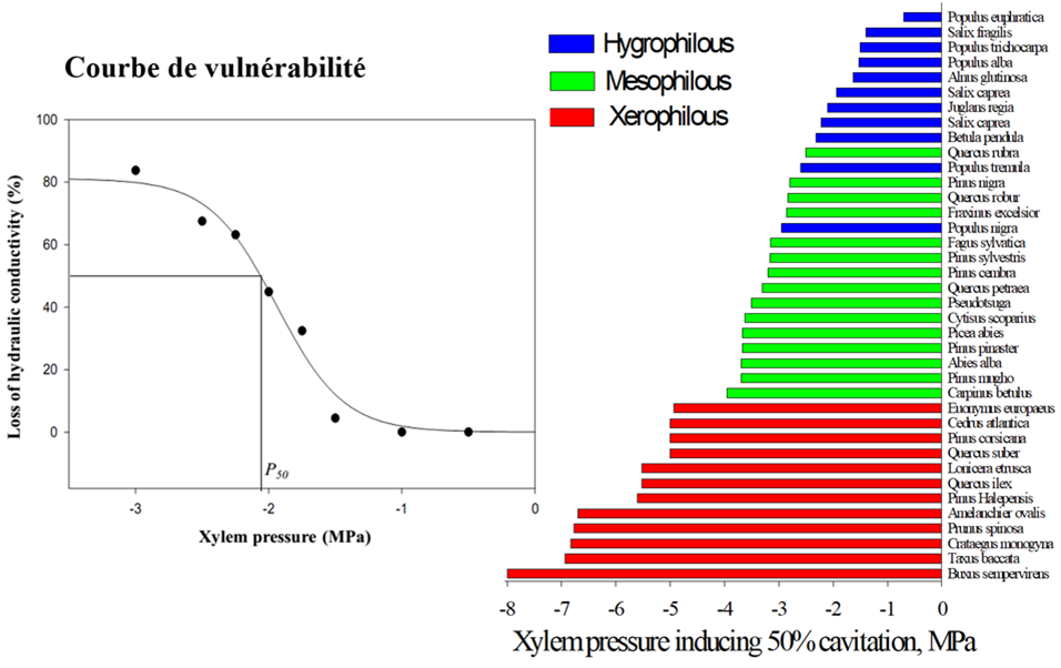 Fig 4 et 5
