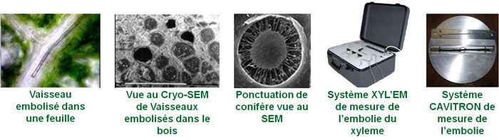Présentation des méthodes de l'équipe HYDRO