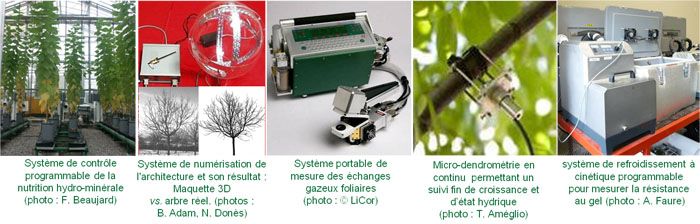 Présentation des méthodes de l'équipe MEA