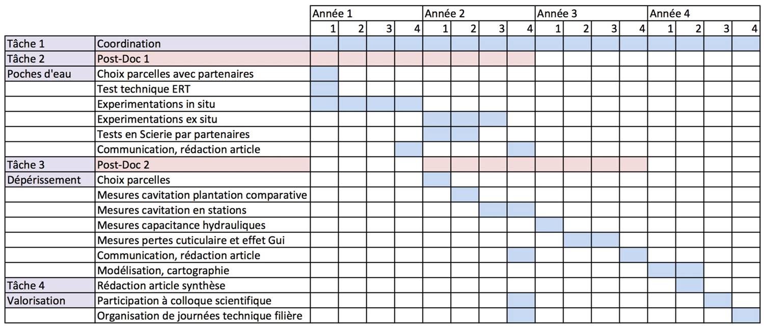 Déroulement du projet