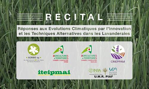 Projet RECITAL