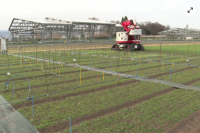 reportage-agriculture
