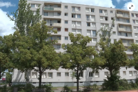 surveillance-arbres-muraille