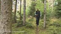 reportage-fr3-cochard
