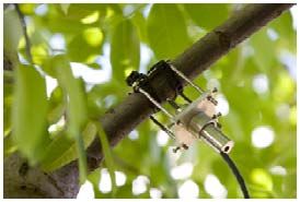 Capteur PEPIPIAF