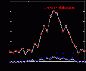 Nombre d’émissions acoustiques d’arbres irrigués ou en sécheresse