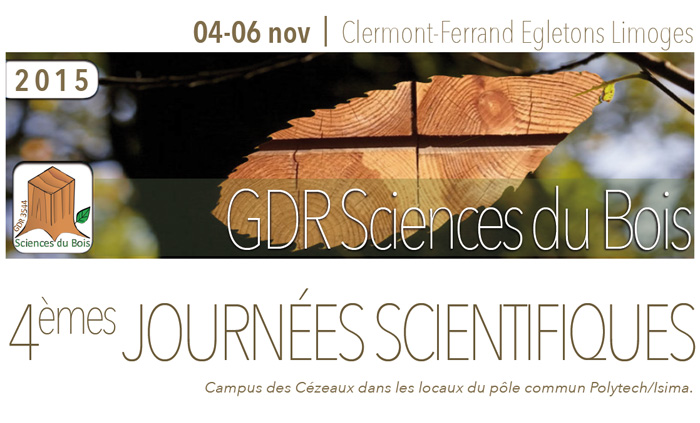 GDR Sciences du bois 2015